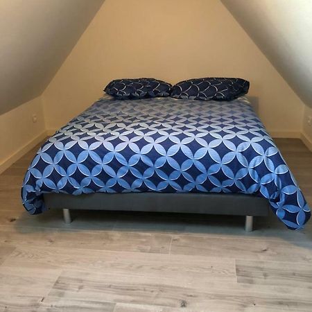 Duplex Hyper Centre Colmar Apartment Екстериор снимка