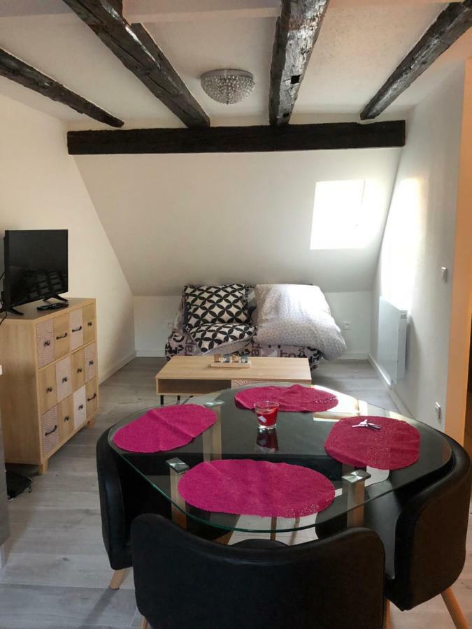 Duplex Hyper Centre Colmar Apartment Екстериор снимка